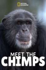 Watch Meet the Chimps M4uhd