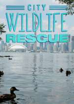 Watch City Wildlife Rescue M4uhd