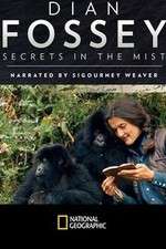 Watch Dian Fossey: Secrets in the Mist M4uhd