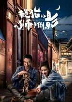 Watch The Lion's Secret M4uhd