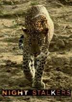 Watch Night Stalkers M4uhd