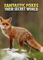 Watch Fantastic Foxes: Their Secret World M4uhd