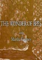Watch The Wonder of Bees with Martha Kearney M4uhd