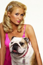 Watch Paris Hilton's British Best Friend M4uhd