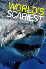 Watch World's Scariest... M4uhd