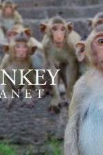 Watch Monkey Planet M4uhd