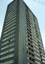 Watch High Times M4uhd