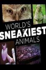 Watch World's Sneakiest Animals M4uhd