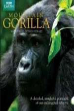 Watch Mountain Gorilla M4uhd
