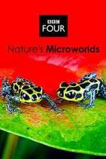 Watch Natures Microworlds M4uhd