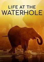 Watch Life at the Waterhole M4uhd