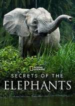 Watch Secrets of the Elephants M4uhd