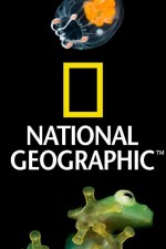 Watch Nat Geo Amazing! M4uhd