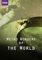 Watch Weird Wonders of the World M4uhd