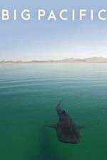 Watch Big Pacific M4uhd