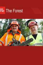 Watch The Forest M4uhd