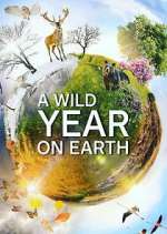 Watch A Wild Year on Earth M4uhd