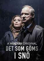 Watch Det som göms i snö M4uhd