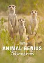 Watch Animal Genius M4uhd