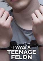 Watch I Was a Teenage Felon M4uhd