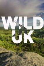 Watch Wild UK M4uhd