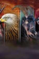 Watch Wales: Land of the Wild M4uhd