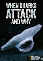 Watch When Sharks Attack... And Why M4uhd