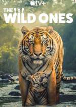 Watch The Wild Ones M4uhd