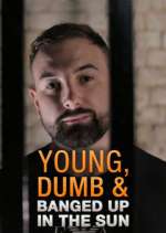 Watch Young Dumb & Banged Up in the Sun M4uhd