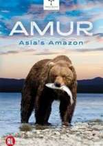 Watch Amur Asia's Amazon M4uhd