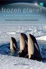 Watch Frozen Planet M4uhd