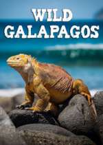 Watch Wild Galapagos M4uhd