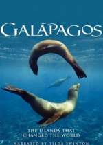Watch Galapagos M4uhd