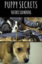Watch Puppy Secrets: The First Six Months M4uhd