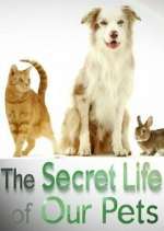 Watch The Secret Life of Our Pets M4uhd