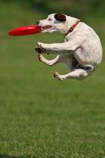 Watch Dogs 101: New Tricks M4uhd