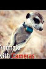 Watch Animals with Cameras M4uhd