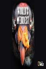 Watch National Geographic Worlds weirdest M4uhd