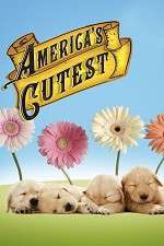 Watch America's Cutest M4uhd