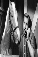 Watch Countdown to... M4uhd