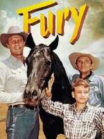 Watch Fury M4uhd