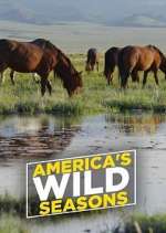 Watch America's Wild Seasons M4uhd