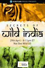 Watch Secrets of Wild India M4uhd