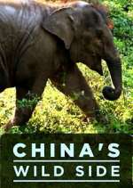 Watch China's Wild Side M4uhd
