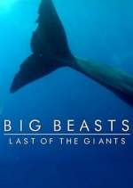 Watch Big Beasts: Last of the Giants M4uhd