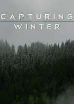Watch Capturing Winter M4uhd
