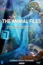 Watch The Animal Files M4uhd