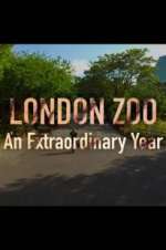 Watch London Zoo: An Extraordinary Year M4uhd