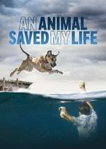 Watch An Animal Saved My Life M4uhd