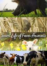 Watch Secret Life of Farm Animals M4uhd
